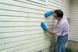 Best Fiber Cement Siding Installation  in Holbrook, AZ